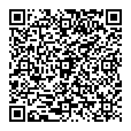 79884251100