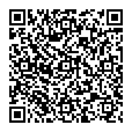 79913000533