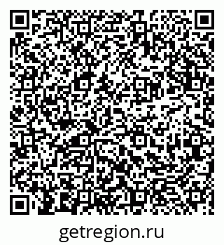 79913923381
