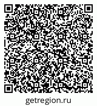 79914995204