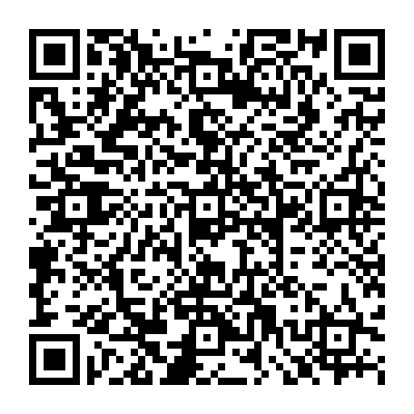 79915550082