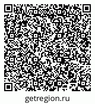 79941000537