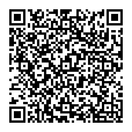 79950900461