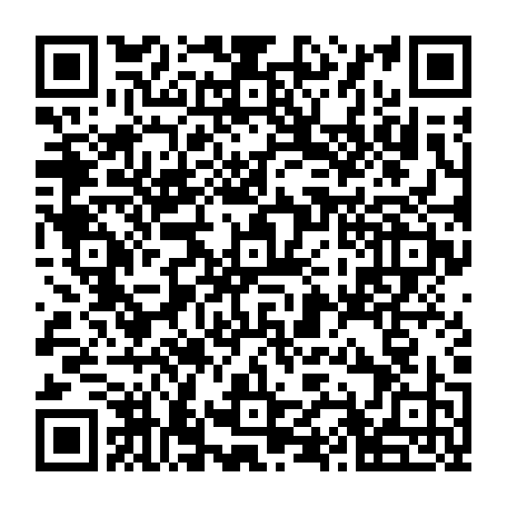 79990411771