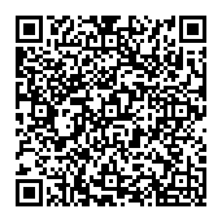 79990411772